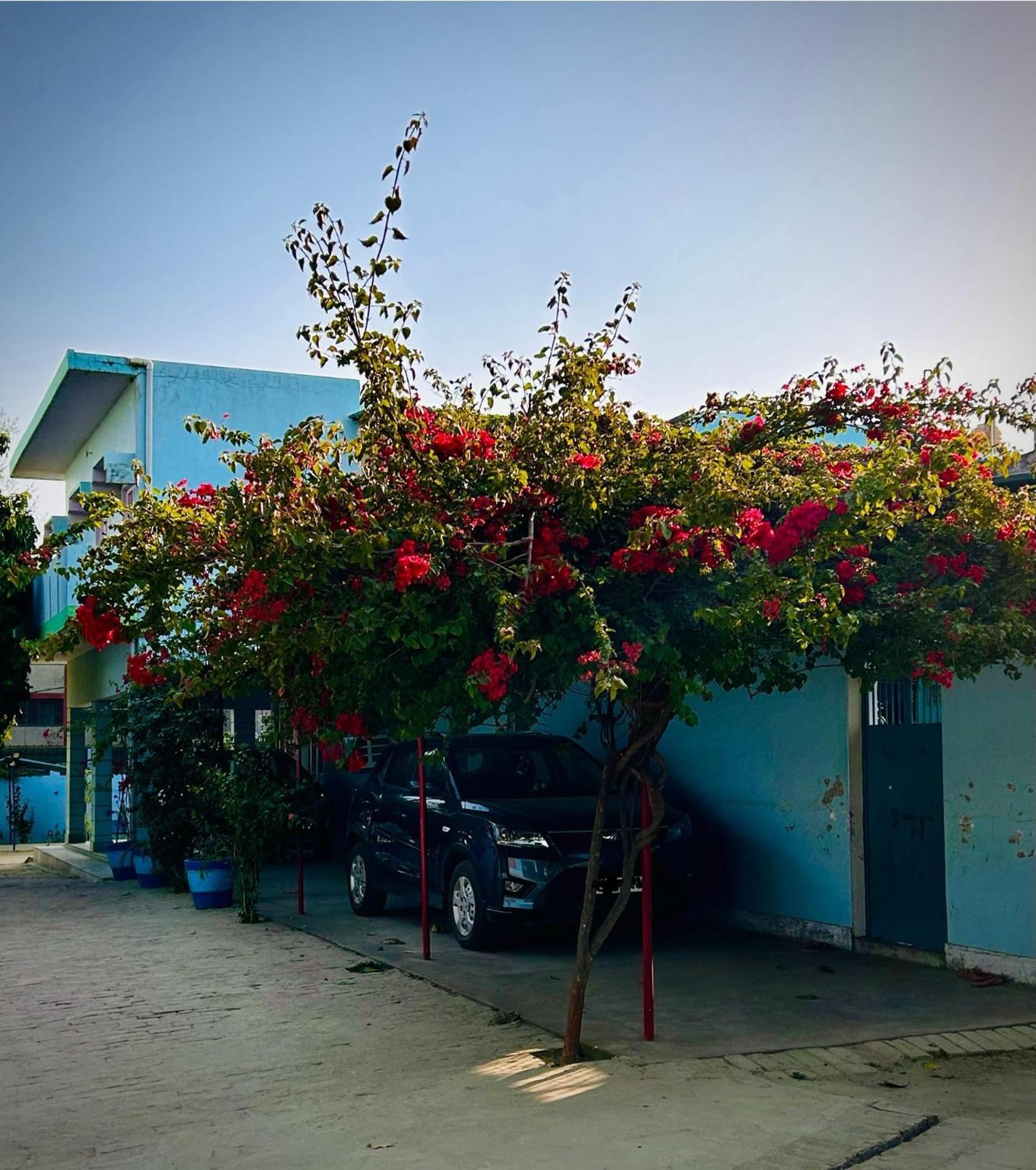 Вилла Gooseberry Garden Ayodhya Экстерьер фото