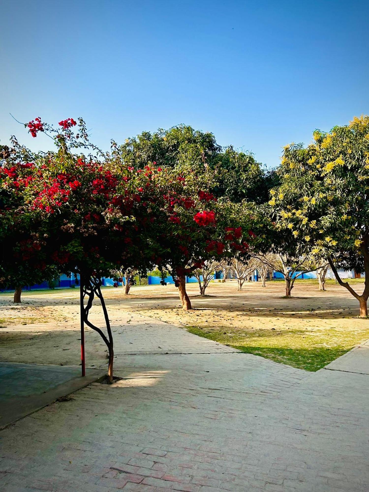 Вилла Gooseberry Garden Ayodhya Экстерьер фото